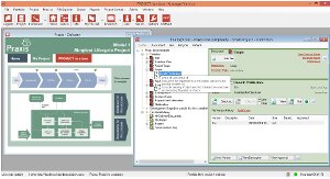 Praxis Framework; project management methodology; project software Praxis Framework; project management methodology; project software