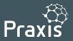 Praxis framework